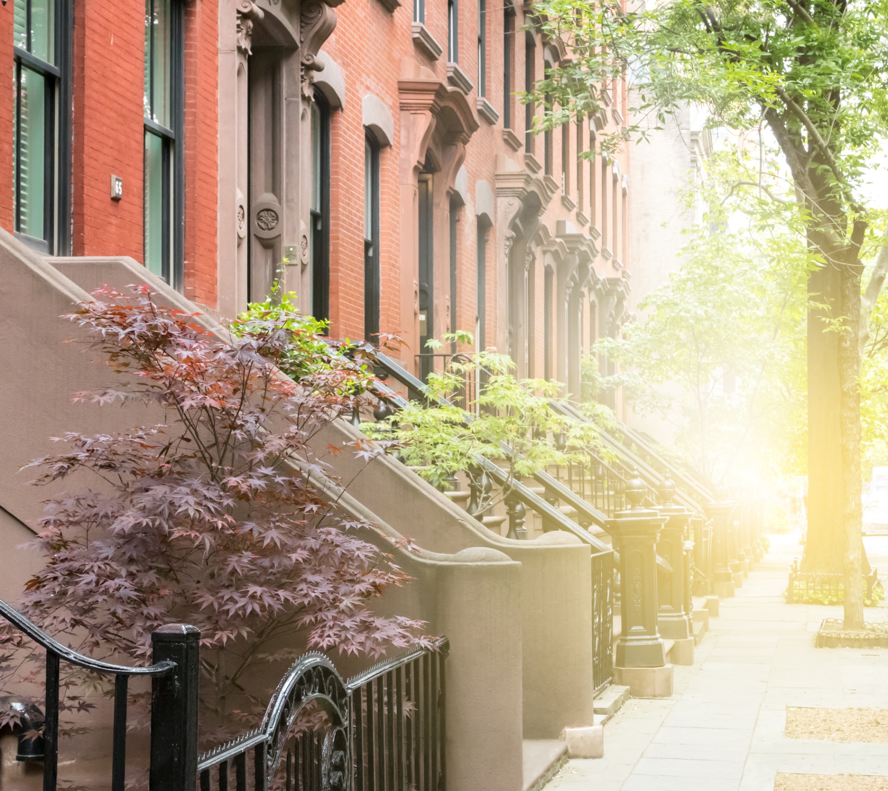 Brooklyn brownstone street at golden hour